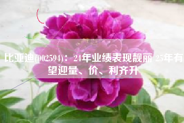 比亚迪(002594)：24年业绩表现靓丽 25年有望迎量、价、利齐升