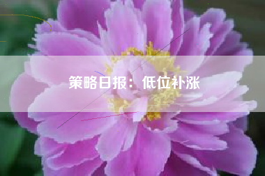 策略日报：低位补涨