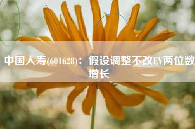 中国人寿(601628)：假设调整不改EV两位数增长