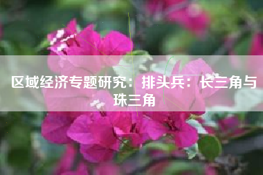 区域经济专题研究：排头兵：长三角与珠三角