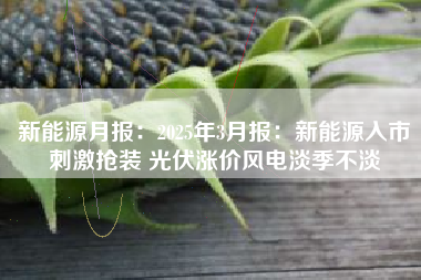 新能源月报：2025年3月报：新能源入市刺激抢装 光伏涨价风电淡季不淡