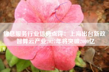 信息服务行业信息点评：上海出台新政 智算云产业2027年将突破2000亿