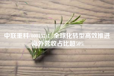 中联重科(000157)：全球化转型高效推进 海外营收占比超50%