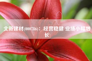 北新建材(000786)：经营稳健 业绩小幅增长