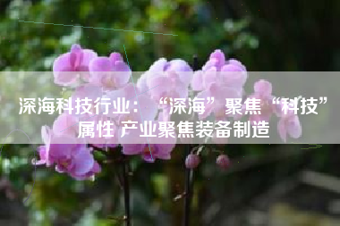 深海科技行业：“深海”聚焦“科技”属性 产业聚焦装备制造