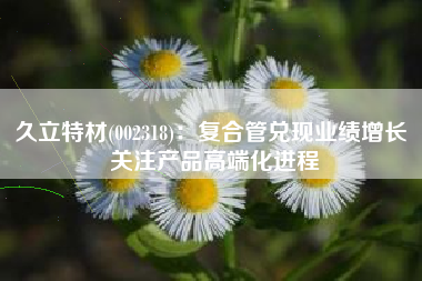 久立特材(002318)：复合管兑现业绩增长 关注产品高端化进程
