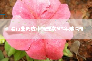 酒行业周度市场观察2025年第13周
