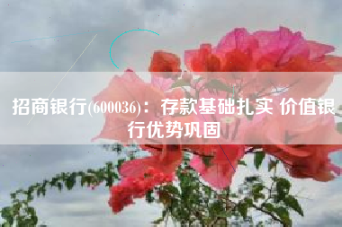 招商银行(600036)：存款基础扎实 价值银行优势巩固
