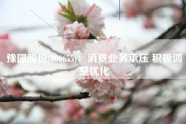 豫园股份(600655)：消费业务承压 积极调整优化