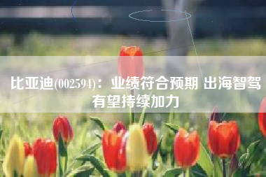 比亚迪(002594)：业绩符合预期 出海智驾有望持续加力