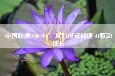 中国联通(600050)：算力投资加速 AI驱动成长