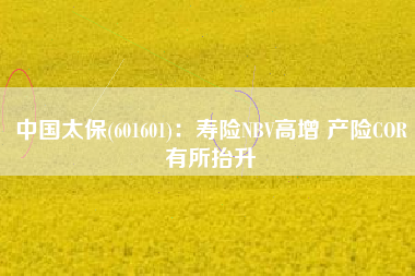 中国太保(601601)：寿险NBV高增 产险COR有所抬升