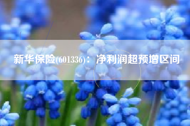 新华保险(601336)：净利润超预增区间