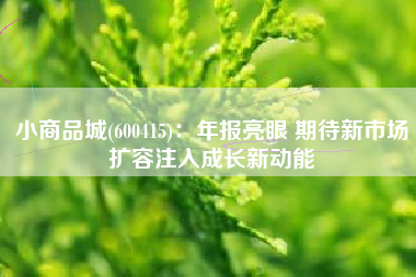 小商品城(600415)：年报亮眼 期待新市场扩容注入成长新动能