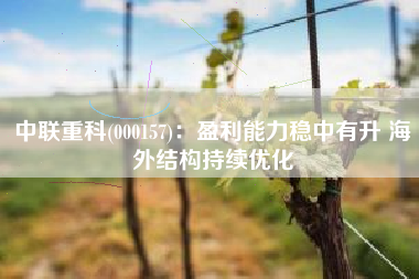 中联重科(000157)：盈利能力稳中有升 海外结构持续优化
