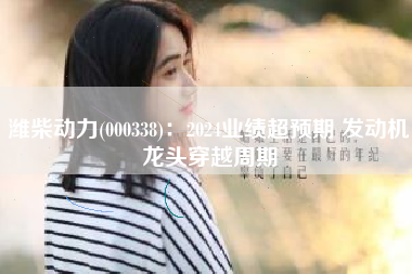 潍柴动力(000338)：2024业绩超预期 发动机龙头穿越周期