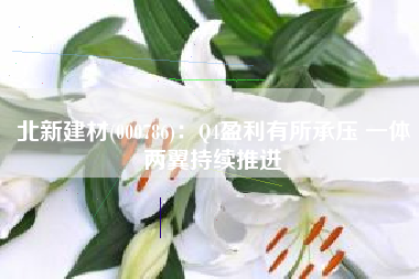 北新建材(000786)：Q4盈利有所承压 一体两翼持续推进