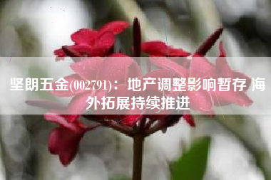 坚朗五金(002791)：地产调整影响暂存 海外拓展持续推进