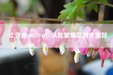 比亚迪(002594)：从批量爆款到全面智