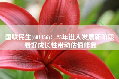国联民生(601456)：25年进入发展新阶段 看好成长性带动估值修复