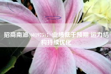 招商南油(601975)：业绩低于预期 运力结构持续优化