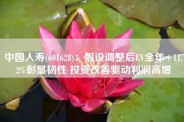 中国人寿(601628)：假设调整后EV全年+11.2%彰显韧性 投资改善驱动利润高增