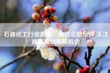 石油化工行业周报：油价企稳反弹 关注油服板块布局机会