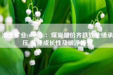 淮北矿业(600985)：煤炭量价齐跌致业绩承压 关注成长性及破净修复