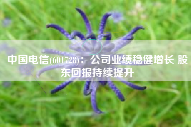 中国电信(601728)：公司业绩稳健增长 股东回报持续提升