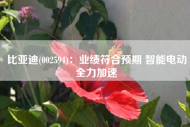 比亚迪(002594)：业绩符合预期 智能电动全力加速