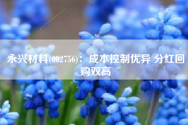 永兴材料(002756)：成本控制优异 分红回购双高