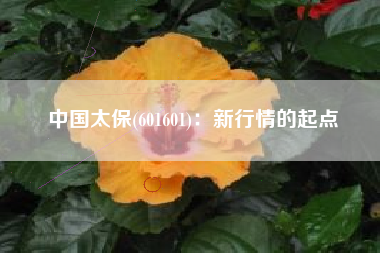 中国太保(601601)：新行情的起点