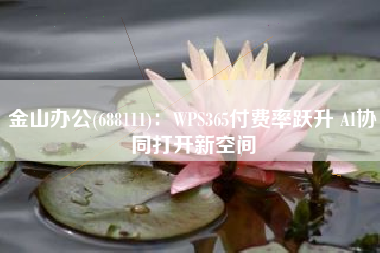 金山办公(688111)：WPS365付费率跃升 AI协同打开新空间