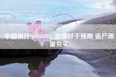 中国银行(601988)：业绩好于预期 资产质量夯实