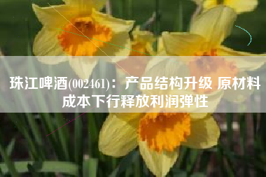珠江啤酒(002461)：产品结构升级 原材料成本下行释放利润弹性