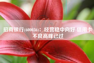 招商银行(600036)：经营稳中向好 信用卡不良高峰已过