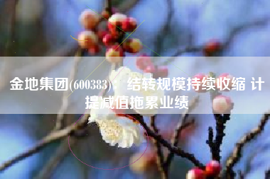 金地集团(600383)：结转规模持续收缩 计提减值拖累业绩