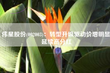 伟星股份(002003)：转型升级驱动价增明显 延续高分红