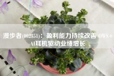 漫步者(002351)：盈利能力持续改善 OWS+AI耳机驱动业绩增长