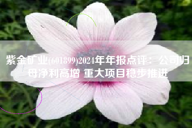 紫金矿业(601899)2024年年报点评：公司归母净利高增 重大项目稳步推进