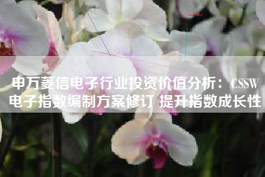申万菱信电子行业投资价值分析：CSSW电子指数编制方案修订 提升指数成长性