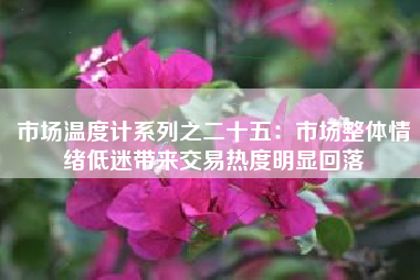 市场温度计系列之二十五：市场整体情绪低迷带来交易热度明显回落