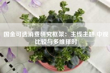 国金可选消费研究框架：主线主题 中观比较与多维择时