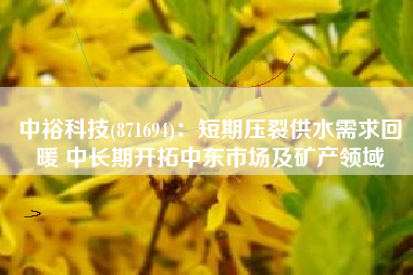 中裕科技(871694)：短期压裂供水需求回暖 中长期开拓中东市场及矿产领域
