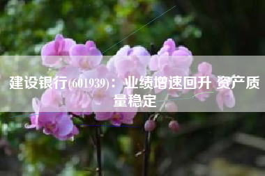 建设银行(601939)：业绩增速回升 资产质量稳定