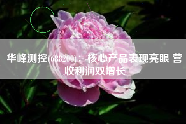 华峰测控(688200)：核心产品表现亮眼 营收利润双增长