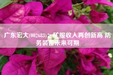 广东宏大(002683)：矿服收入再创新高 防务装备未来可期
