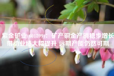 紫金矿业(601899)：矿产铜金产销稳步增长带动业绩大幅提升 远期产能仍然可期