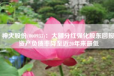 神火股份(000933)：大额分红强化股东回报 资产负债率降至近20年来最低