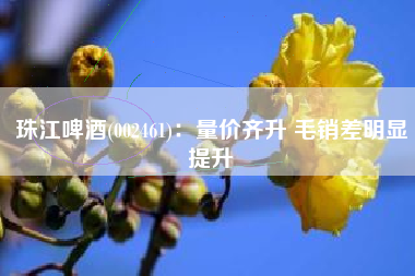 珠江啤酒(002461)：量价齐升 毛销差明显提升